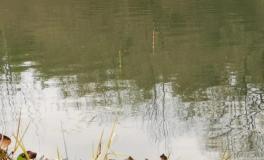 浮漂用久了漂尾变暗怎么办?试试这样做,没准还有救